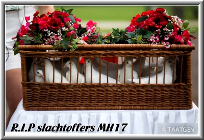 R.I.P slachtoffers MH17 