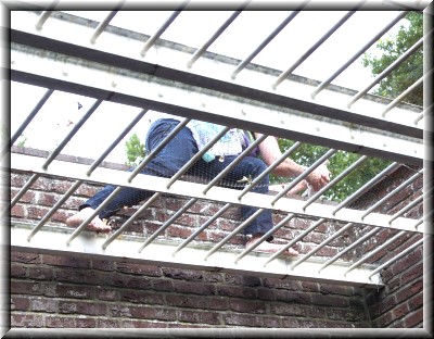 De Verandering